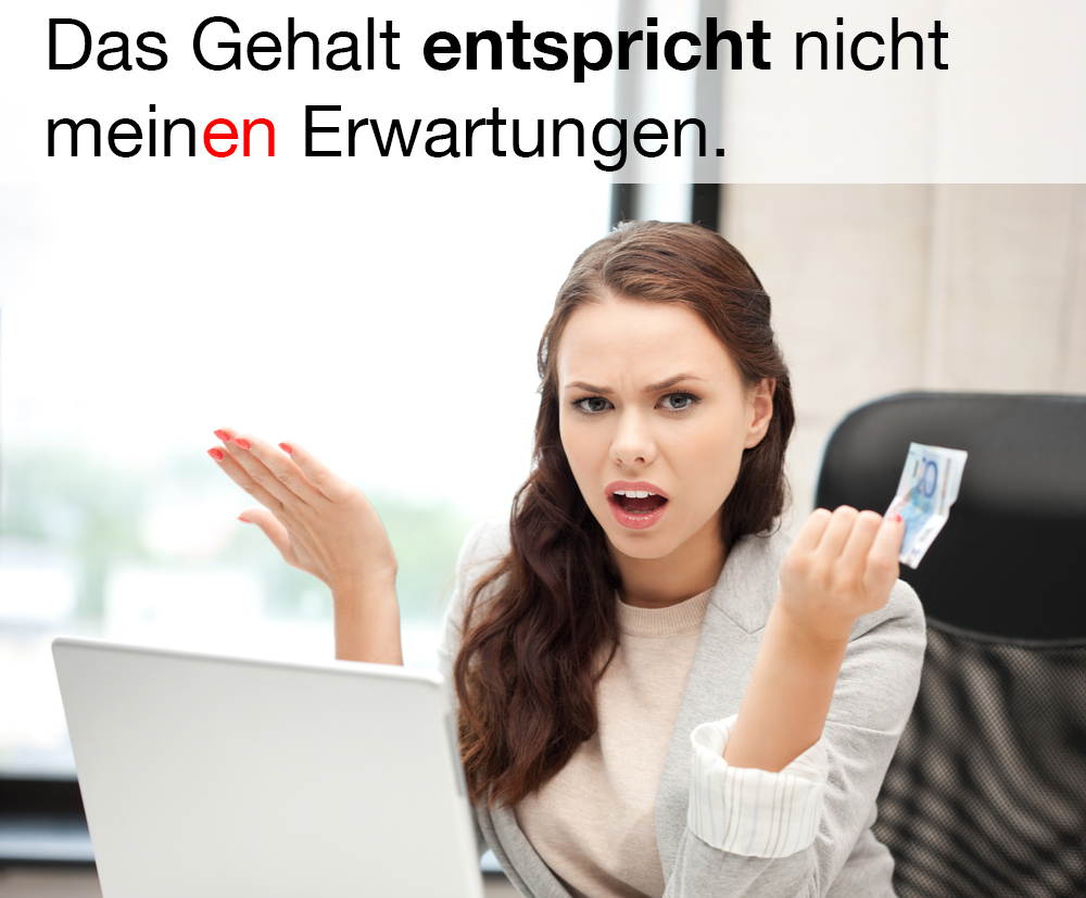 how-d-you-say-in-german-the-salary-does-not-match-my-expectations